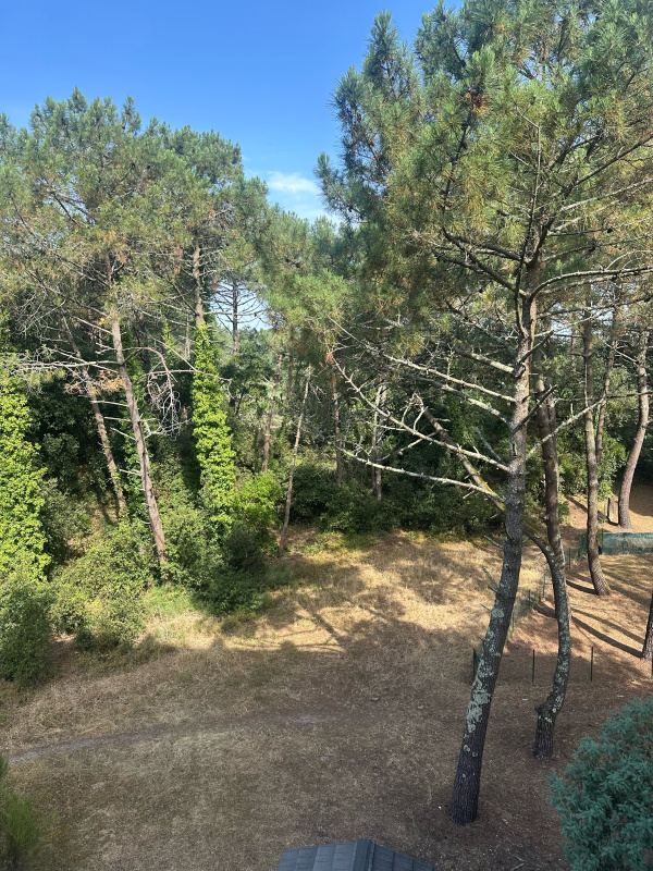 Offres de vente Appartement Le Verdon-sur-Mer 33123