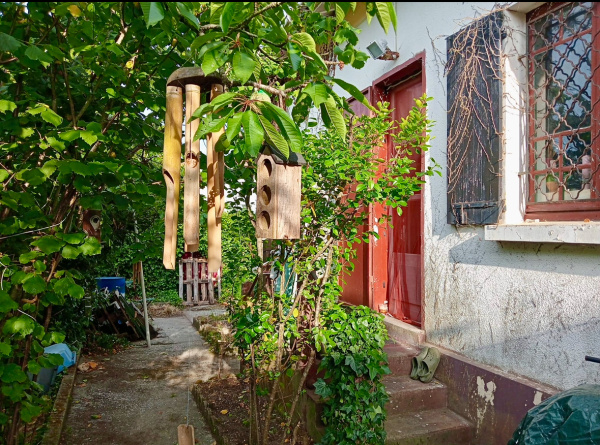 Offres de vente Maison Soulac-sur-Mer 33780